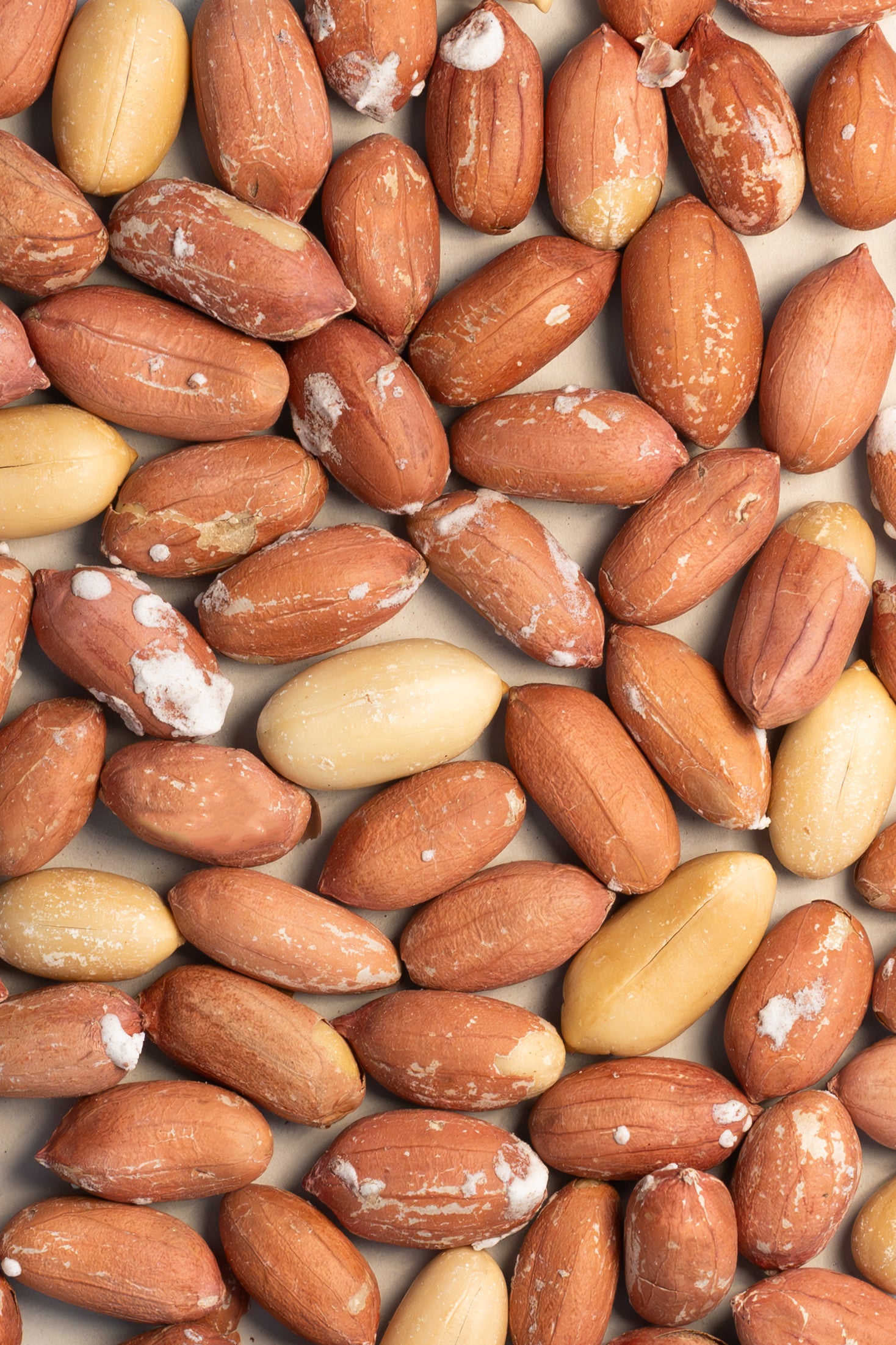 Natural and Roasted Peanuts