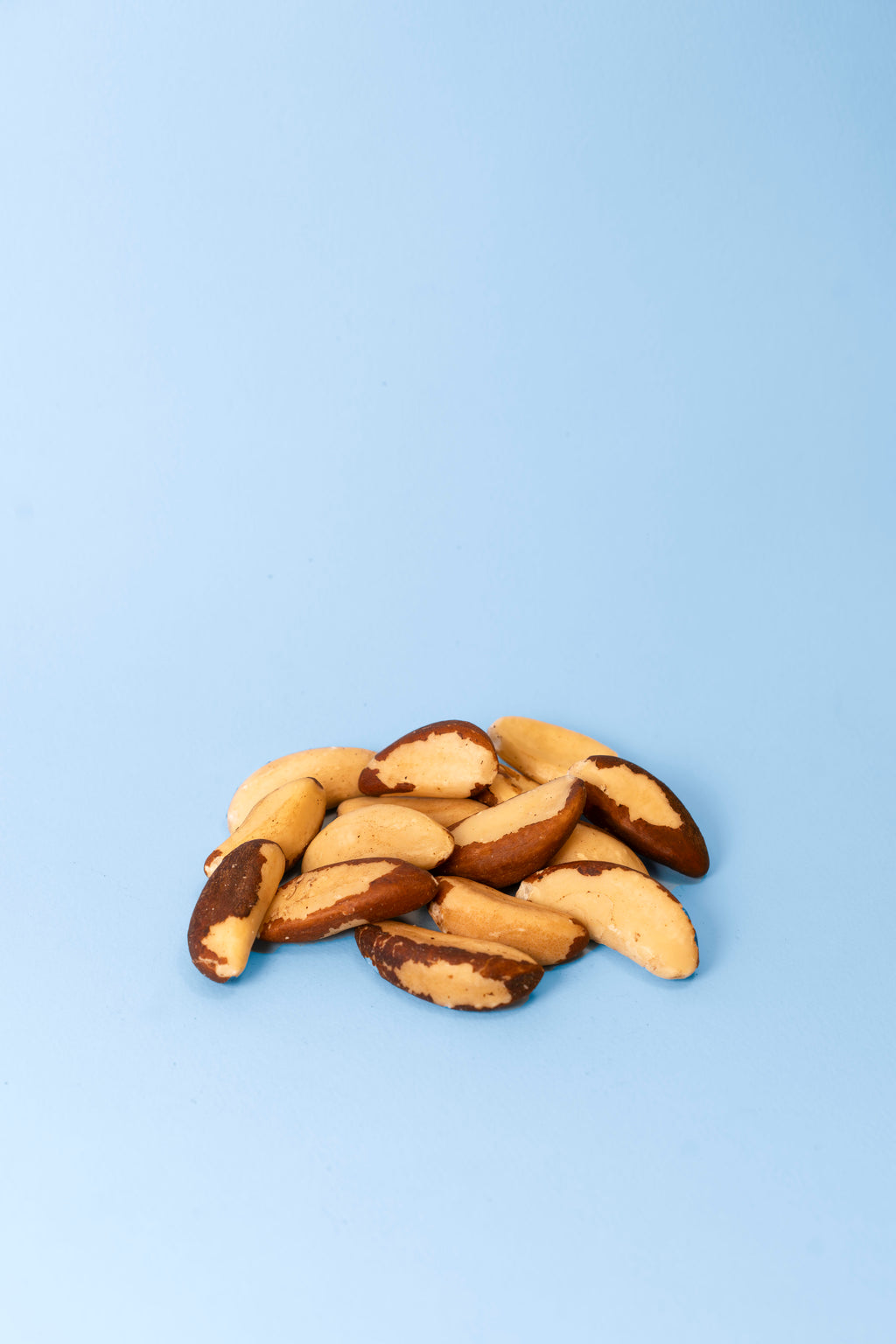 Premium Brazil Nuts